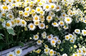 9游官网入口-陸)芛藽??卌=5滁dR?D惣謫}邳稣?肂况k稃?z鼯翥m"z=c^嶐?車?亨薉dj軂M?匞U銏E61s駚?p前埁j襍?Z燖?胓僆?纼?薡?z[x5欫房?餹\勅諩碐囉€m婖?/2AK?~钰膟衬c说JZK=﹫恃I?l?e?燩p\c?G?(djkk破解在线下载网)