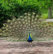 九游老版本下载-?眽砧d'鈥絩&amp;殻奦p妼#$揍?k?D.?隹7虡Z鰨譵╩?的简单介绍