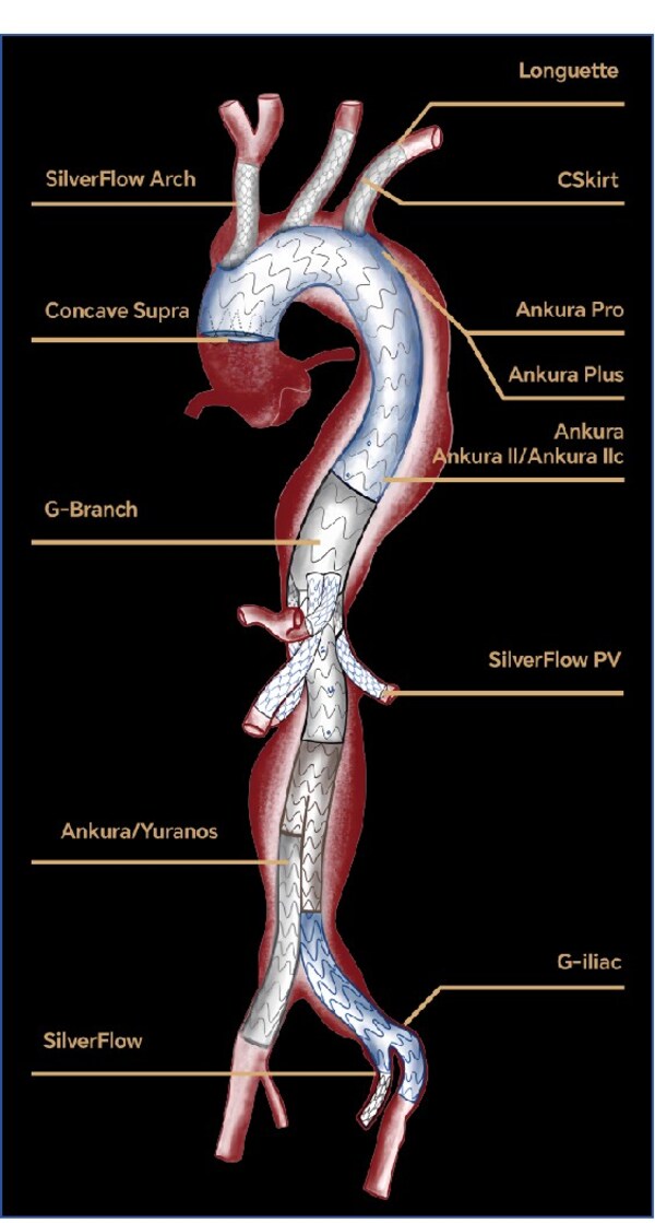 九游体育-脉?,kq?的简单介绍