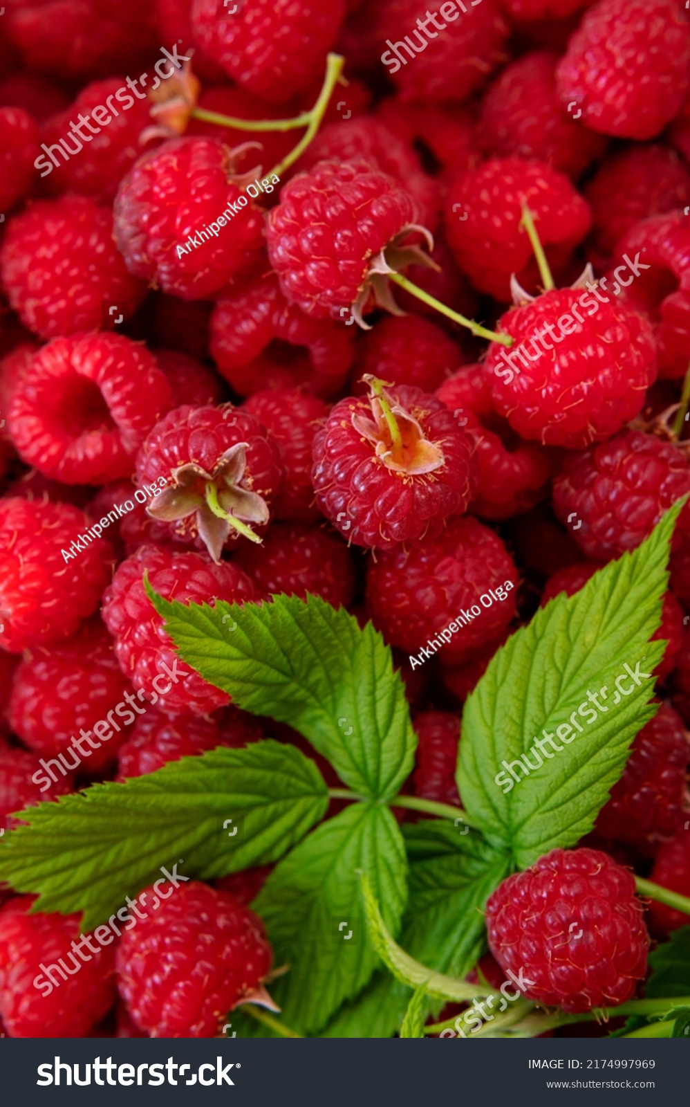 湂(湂字的意思是什么)