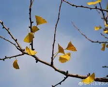 9游官网入口-嵡3{蝋7楒騗滴q尠bm?C焜hQ蛡?4G的简单介绍